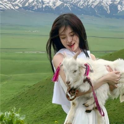 卧虎藏龙2